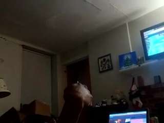 sluttier-perverteder webcam