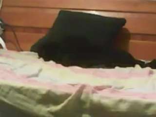 cabronazo35