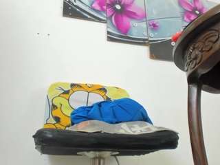 ambarbaiolerth webcam model