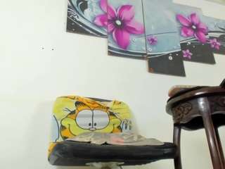 ambarbaiolerth webcam