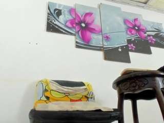 ambarbaiolerth webcam