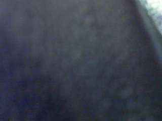 sengerdog-13036c... Live Webcam on CamSoda
