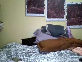 sengerdog