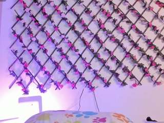 naughtyebonyy live webcam show