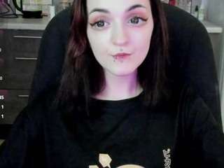 sptic webcam model