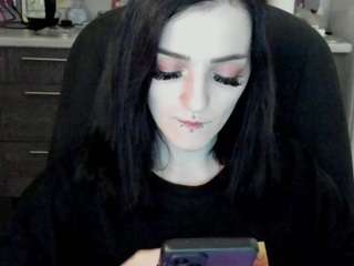 sptic webcam