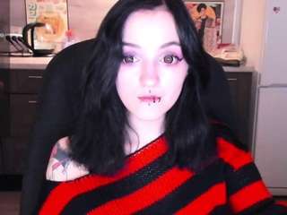 sptic webcam model