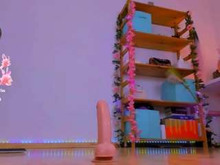 fly-kitty webcam model