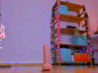 fly-kitty webcam model