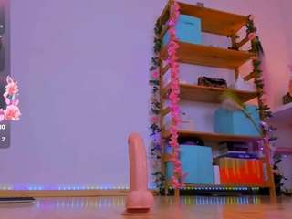fly-kitty webcam model