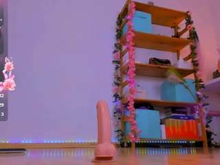 Fly-Kitty
