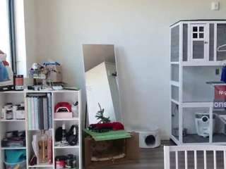  featuring exposed craziness uncovering playing intimate toys. 