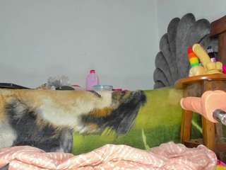 Vicky-Hot live cam preview