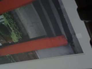 misspeacock83 webcam