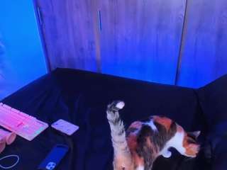 valeriewhite webcam