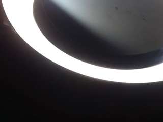 pandora-sweet webcam