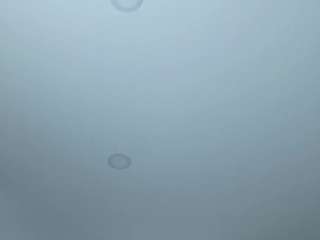 melonsboobss webcam