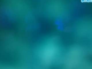 Supchickenbutt's cam show statistics and live stream