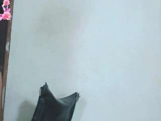debora-cat webcam