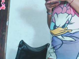 debora-cat webcam