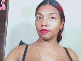 debora-cat