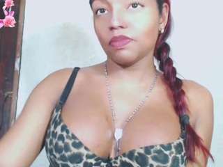 debora-cat