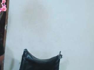 debora-cat
