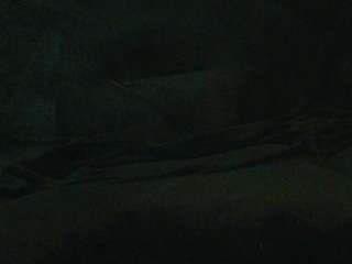 legendario718293 webcam model