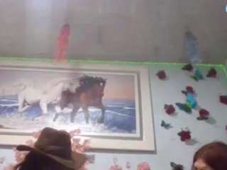 hotsexybigcum webcam