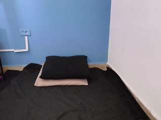 alannahpresston alannahpresston