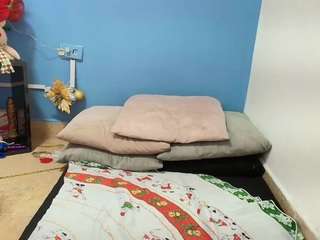 alannahpresston's CamSoda show and profile