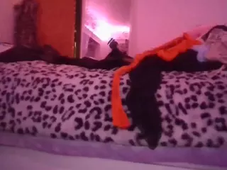 sex kitten's Live Sex Cam Show