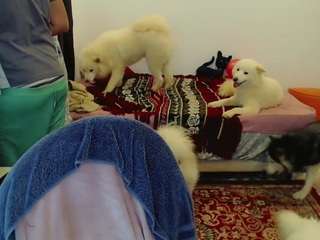 sophiefantasy webcam model