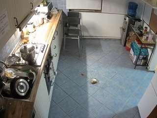 voyeurcam-julmodels-kitchen-2 camsoda