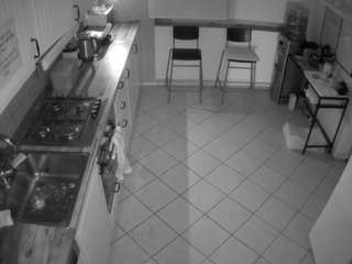 voyeurcam julmodels kitchen 2 live cam preview