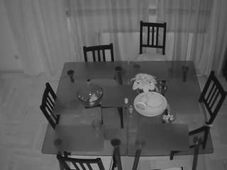 voyeurcam-julmodels-dining-2