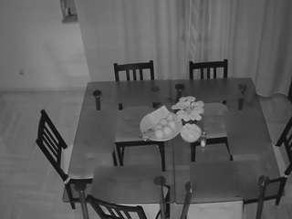 Asain Cam Models camsoda voyeurcam-julmodels-dining-2