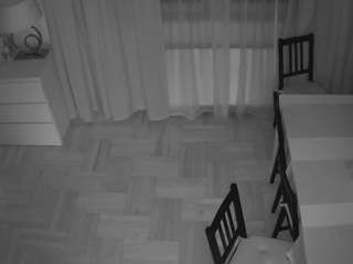 voyeurcam julmodels dining 2