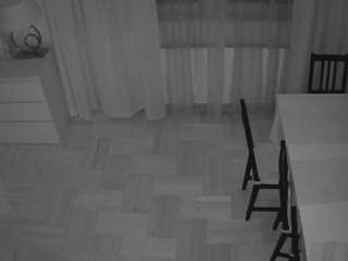 voyeurcam julmodels dining 2