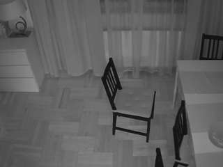 voyeurcam-julmodels-dining-2 voyeurcam-julmodels-dining-2