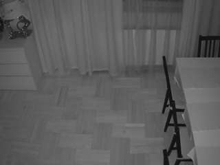 voyeurcam-julmodels-dining-2