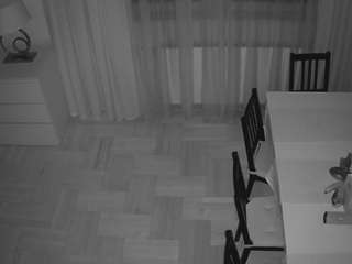 voyeurcam julmodels dining 2