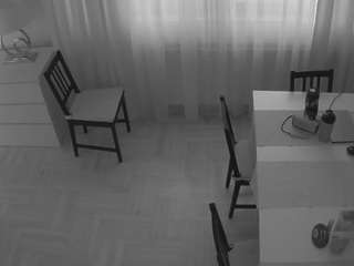 voyeurcam-julmodels-dining-2