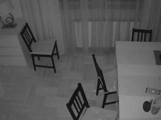 voyeurcam-julmodels-dining-2 webcam