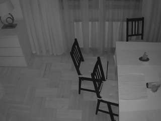 voyeurcam julmodels dining 2