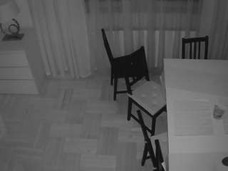 voyeurcam-julmodels-dining-2