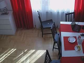 voyeurcam-julmodels-dining-2