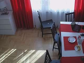 voyeurcam-julmodels-dining-2