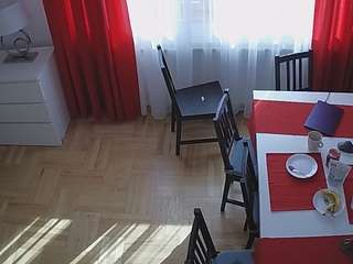 voyeurcam-julmodels-dining-2
