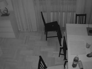 voyeurcam-julmodels-dining-2